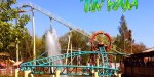 Beitragsbild des Blogbeitrags Wildwood Grove 2019 – Dollywoods größte Investition