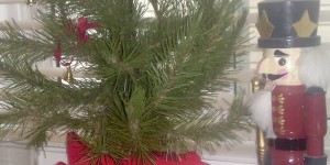 Beitragsbild des Blogbeitrags DECK the HALLS// decor