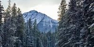 Beitragsbild des Blogbeitrags What to do in January? // lifestyle 