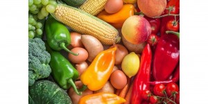 Beitragsbild des Blogbeitrags what to eat?// lifestyle, foods