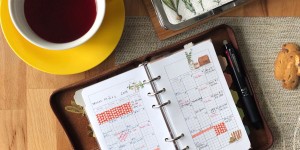 Beitragsbild des Blogbeitrags Und weiter geht’s – geordnet in den Frühling!