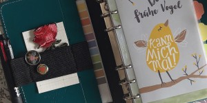 Beitragsbild des Blogbeitrags Alles im Griff – oder – wie ich mich organisiere..