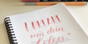 Beitragsbild des Blogbeitrags Kennst du Chaos..?