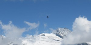 Beitragsbild des Blogbeitrags Perspektivenwechsel! Gehen wo der Adler fliegt! 