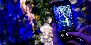 Beitragsbild des Blogbeitrags Digitalisierung im Tourismus – Zusammenspiel von Tourismusorganisationen und Betrieben