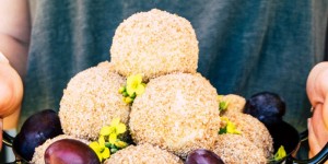 Beitragsbild des Blogbeitrags Zwetschgen – Topfen – Knödel im süßen Bröselmantel | Ein leckeres Herbstrezept