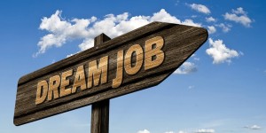 Beitragsbild des Blogbeitrags Peter Stöger – kein Glück bei der Jobsuche