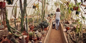 Beitragsbild des Blogbeitrags Palm Springs Ausflugstipp: der Moorten Botanical Garden 