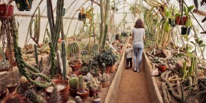 Beitragsbild des Blogbeitrags Palm Springs Ausflugstipp: der Moorten Botanical Garden