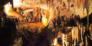 Beitragsbild des Blogbeitrags Lohnt sich die Höhle von Postojna?