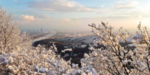 Beitragsbild des Blogbeitrags Wiener Stadtwanderweg 1a:  Leopoldsberg 