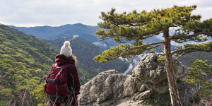 Beitragsbild des Blogbeitrags In Mödling wandern: Die schönsten Wanderwege für die ganze Familie 