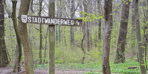Beitragsbild des Blogbeitrags Wiener Stadtwanderweg 4: Vom Dehnepark zur Jubiläumswarte