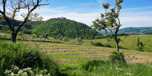 Beitragsbild des Blogbeitrags Wiener Stadtwanderweg 1: Von Nußdorf auf den Kahlenberg 