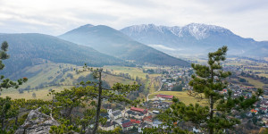 Beitragsbild des Blogbeitrags Auf den Himberg bei Puchberg wandern 