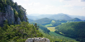 Beitragsbild des Blogbeitrags Am Peilstein wandern: 4 lohnende Wanderwege auf den Wienerwald-Aussichtsgipfel