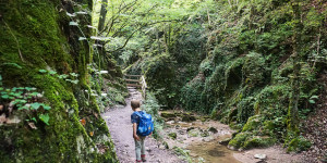 Beitragsbild des Blogbeitrags In der Johannesbachklamm mit Kindern wandern