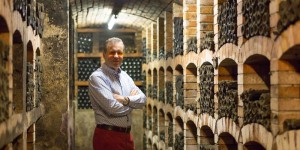 Beitragsbild des Blogbeitrags Weingut Hauser – Topwinzer aus Poysdorf