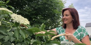 Beitragsbild des Blogbeitrags Pressmayr: das Naturgarten-Paradies aus dem Mühlviertel