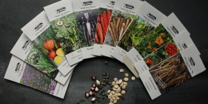 Beitragsbild des Blogbeitrags Bio-Vielfaltsgemüse-Gärtnerei: Samengreisslerei