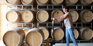 Beitragsbild des Blogbeitrags “Wir sind Wein.” – Weingut Juliana Wieder