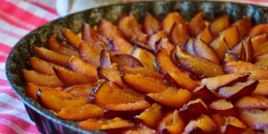 Beitragsbild des Blogbeitrags Flaumig weicher Zwetschkenfleck
