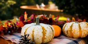 Beitragsbild des Blogbeitrags 3 saisonale Rezeptideen mit Kürbis: Wir holen uns den Herbst ins Haus!