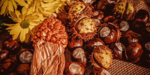 Beitragsbild des Blogbeitrags 3 DIY-Ideen für Herbstdekoration