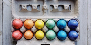 Beitragsbild des Blogbeitrags Das Post-Oster-Dilemma: Wohin mit den Eiern? Part I