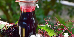 Beitragsbild des Blogbeitrags Dunkler Hollersirup – einfach, gesund und lecker!