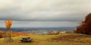 Beitragsbild des Blogbeitrags 5 Orte für einen schönen Herbstspaziergang in Wien