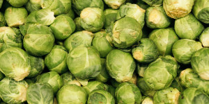 Beitragsbild des Blogbeitrags Schnelle Kohlsprossen – Pilz – Pfanne