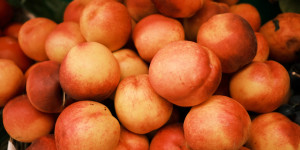 Beitragsbild des Blogbeitrags Einfacher Pfirsichsirup zum Selbermachen! 