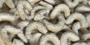 Beitragsbild des Blogbeitrags Weihnachtsklassiker: Vanillekipferl