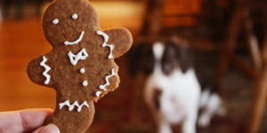Beitragsbild des Blogbeitrags Alle lieben Lebkuchen – mach dir und deinen Liebsten eine Freude