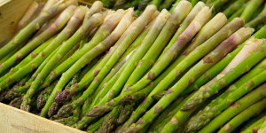 Beitragsbild des Blogbeitrags 5 Fakten über Spargel – Grünes Stangengemüse mit Biss