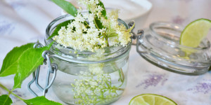 Beitragsbild des Blogbeitrags Hollersirup für Faule