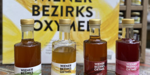 Beitragsbild des Blogbeitrags Oxymel: Wellness-Shot – Erfrischungsgetränk – Würze 