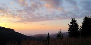 Beitragsbild des Blogbeitrags The boring everyday