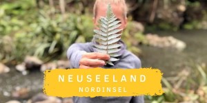 Beitragsbild des Blogbeitrags Neuseeland Nordinsel: Eine Woche Roadtrip 