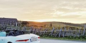 Beitragsbild des Blogbeitrags Top5 Instagram Fotos mit dem F-Type