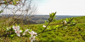 Beitragsbild des Blogbeitrags Sonne tanken bei Ausflügen zwischen Güssing und der Riegersburg 