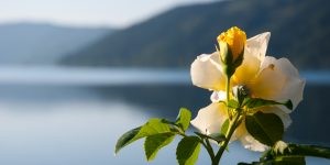 Beitragsbild des Blogbeitrags Wenn man in Kärnten vom Teufel spricht 