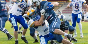 Beitragsbild des Blogbeitrags Giants @ Steelsharks: Vom Underdog zum Favoriten
