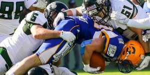 Beitragsbild des Blogbeitrags Danube Dragons Doubleheader