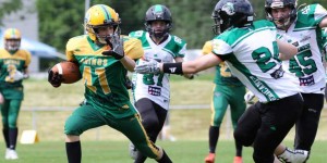 Beitragsbild des Blogbeitrags Rhinos und Canes Jugend forscht