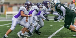 Beitragsbild des Blogbeitrags Vier Finalspiele an einem Wochenende für die Dacia Vikings