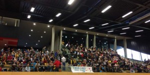 Beitragsbild des Blogbeitrags 1. Steirischen Landesmeisterschaft im Cheerleading