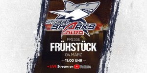 Beitragsbild des Blogbeitrags Pressekonferenz: Steelsharks starten mit Namenssponsor und drei Legionären in die Saison