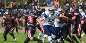 Beitragsbild des Blogbeitrags LIVE: Steelsharks Traun vs. Predators Steyr